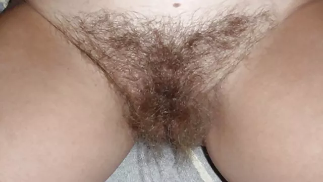 Cutie გადაცემები აქლემი ფეხით