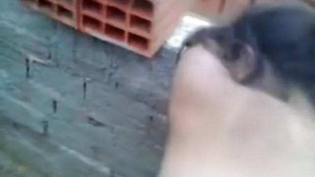 ჩეხეთის ძე სტეპანიონია მისი ქუდი