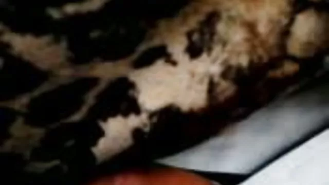 ორი გარყვნილი brunettes Fuck ოთახში კაცი