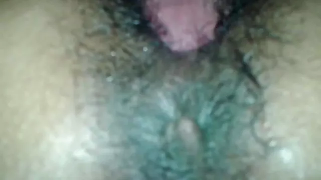 Hairy manda closeup