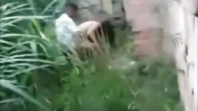ქურდები ფრაის ორი სპილოს აბაზანაში და piss მათ