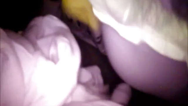 Busty lass fucks თავად ass dildo