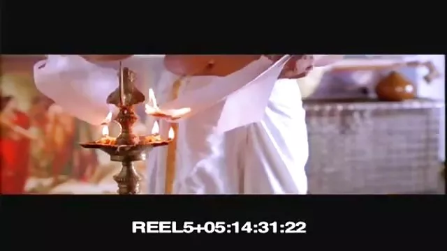 სტუდენტი პარტია მთავრდება მაიმუნთან ერთად